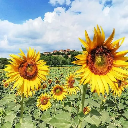 Διαμέρισμα La Toscana