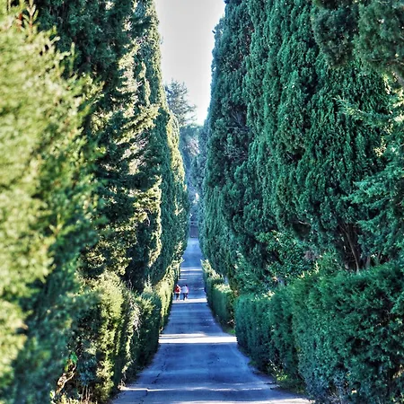 La Toscana Διαμέρισμα Certaldo